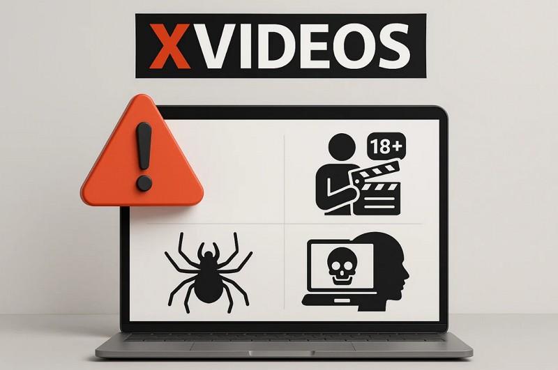 content risk of xvideos