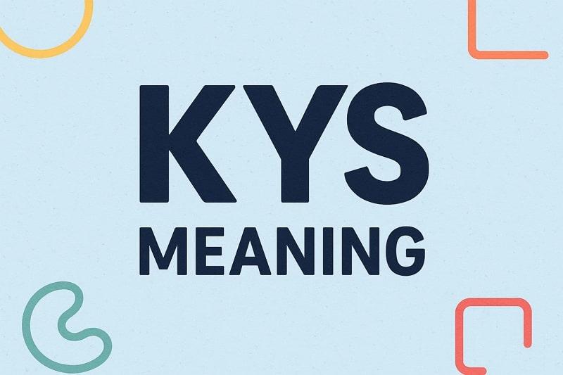 detailed guide about kys meaning