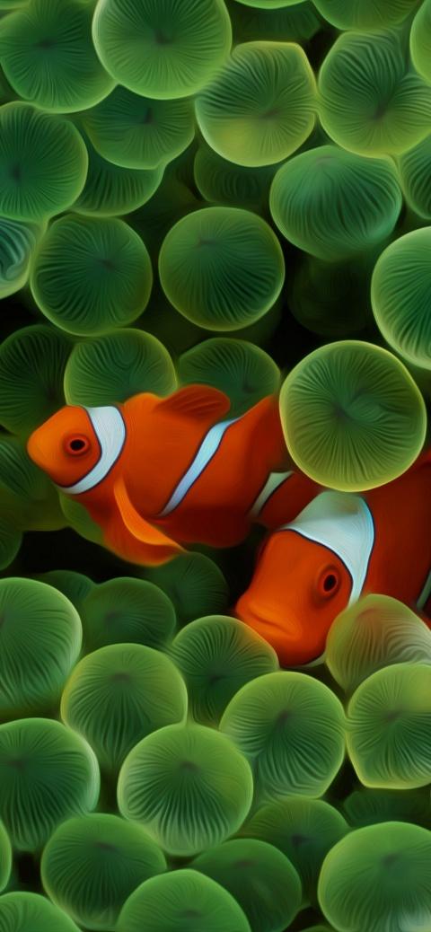 green pod clownfish wallpaper