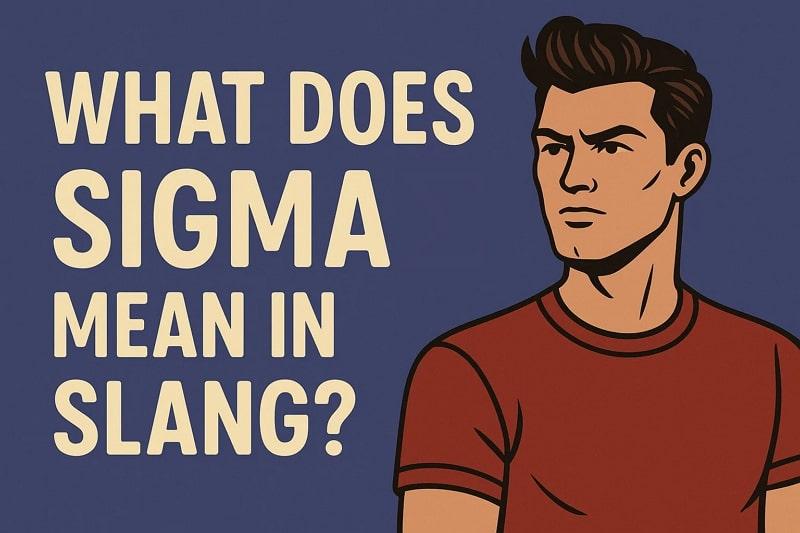 detailed analysis on sigma meaning