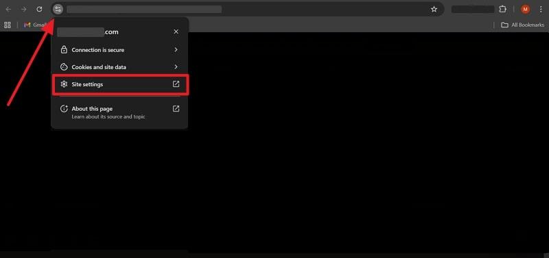 access adult site settings