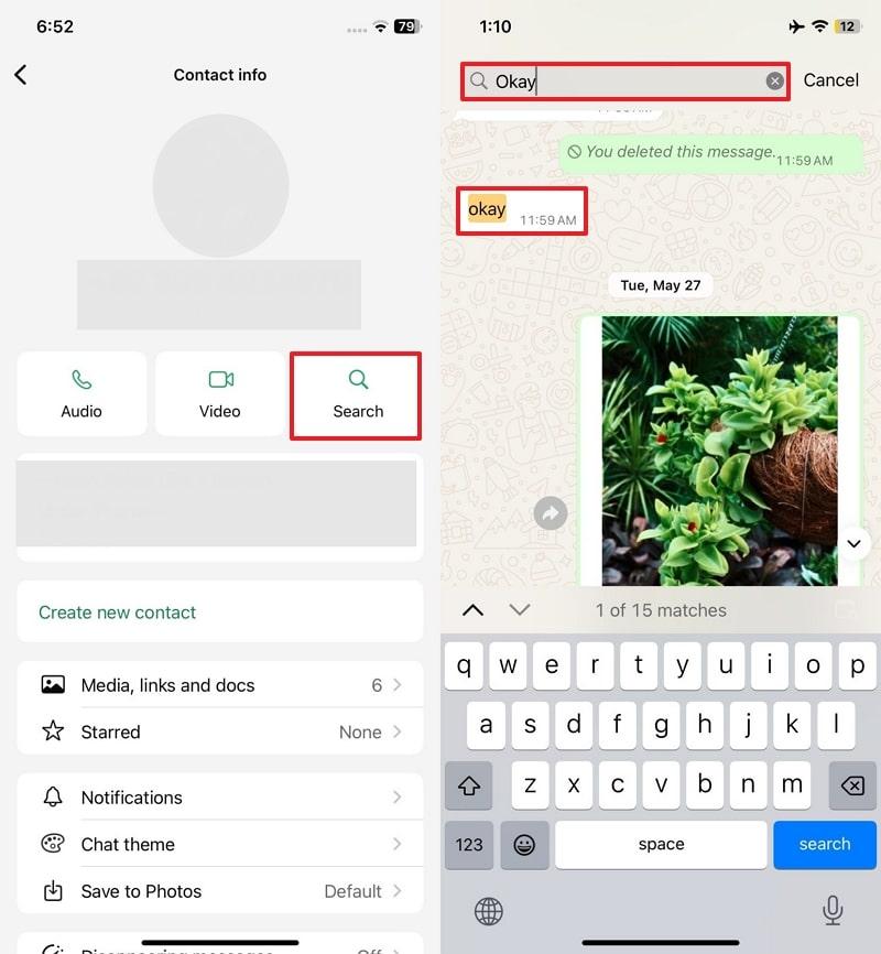 use search engine whatsapp iphone
