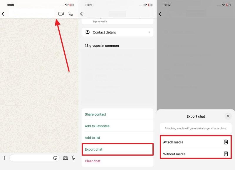 include or exclude media export chat