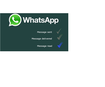 Como bloquear um contato no WhatsApp?