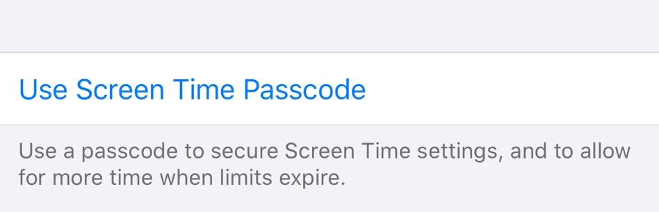 set a passcode to protect your ipod control setting