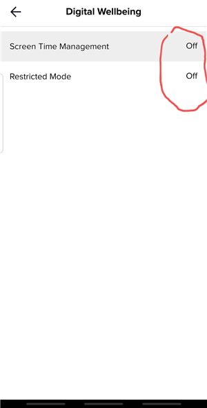 step: switch on Restricted Mode and Screen Time Management
