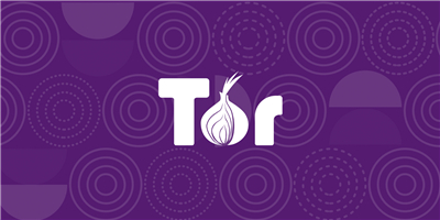 proyecto tor logo onions