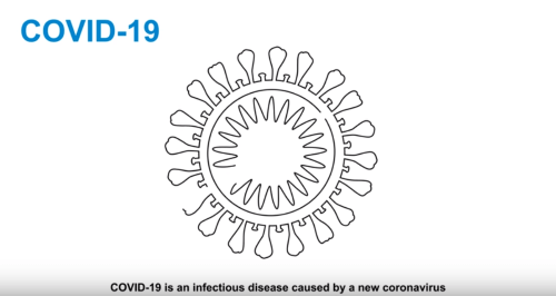 Coronavirus 2019