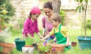 Décoration votre jardin