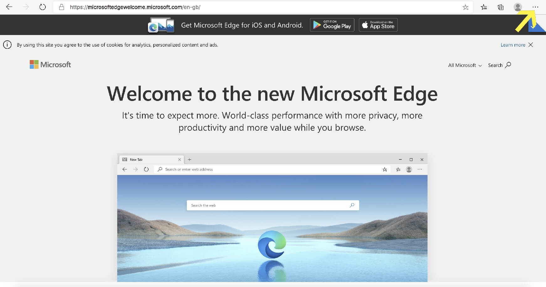 microsoft edge login to website issue