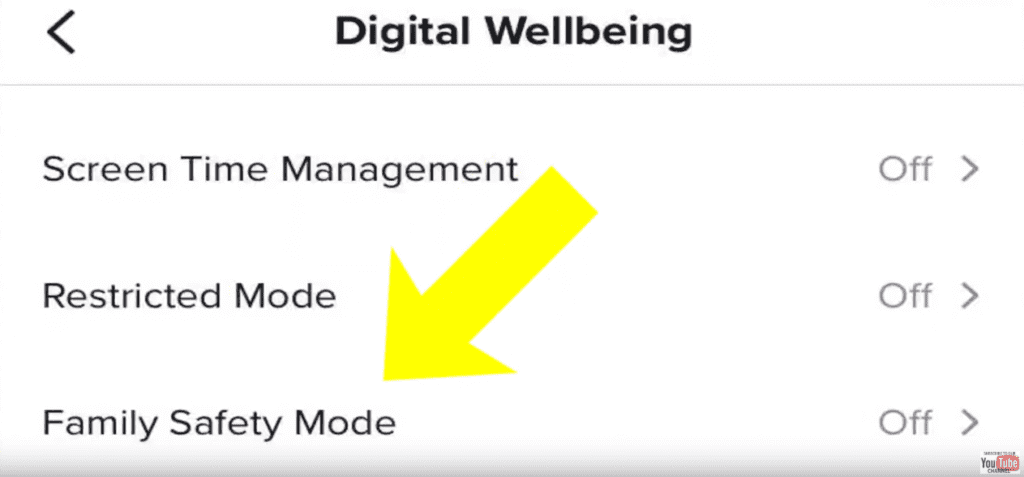 TikTok Family Safety Mode