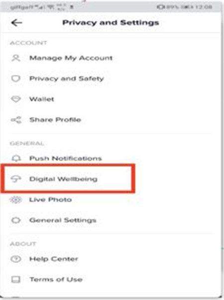 Tik Tok Digital Wellbeing Helps to Get Away From Tik Tok Addiction