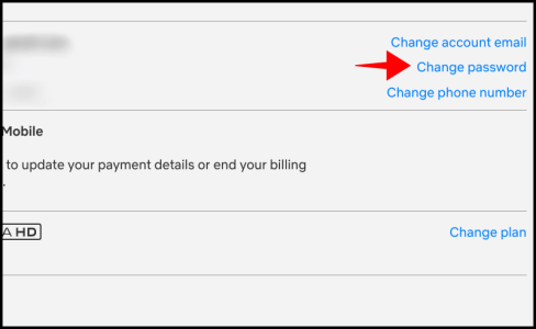 change netflix account password