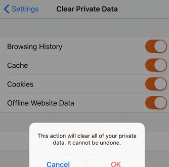 clear private data on your iphone