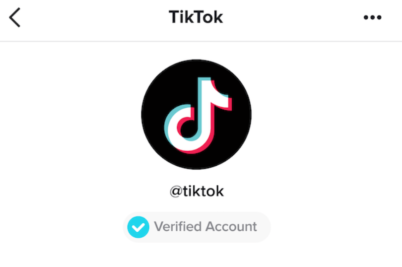 get tiktok verified