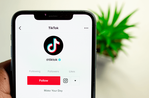 tiktok-bios