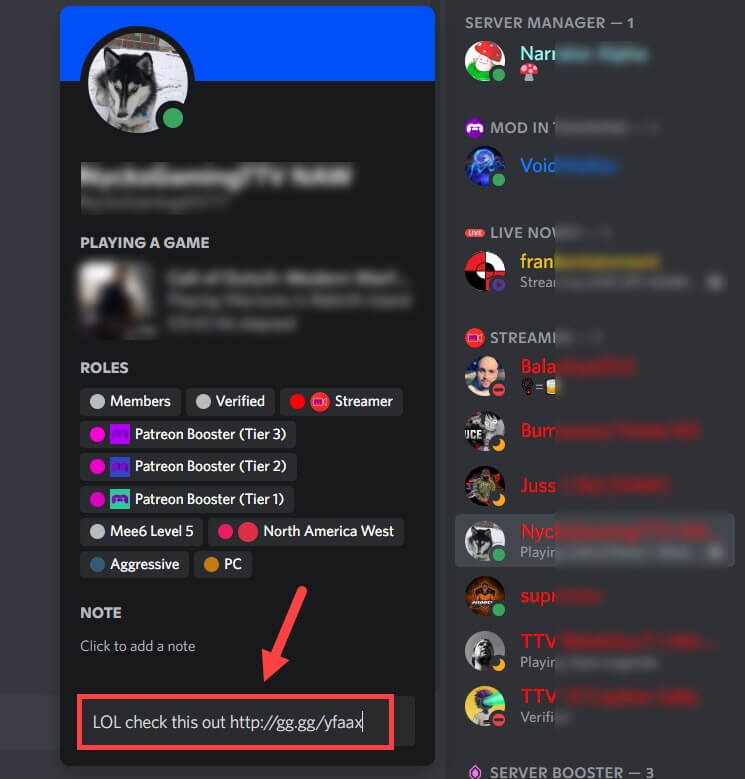 get someone's ip from discord 11