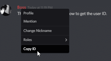 get someone's ip from discord 6