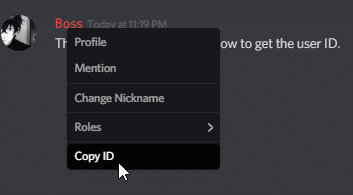 how to grab ip through discord