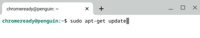 update linux terminal