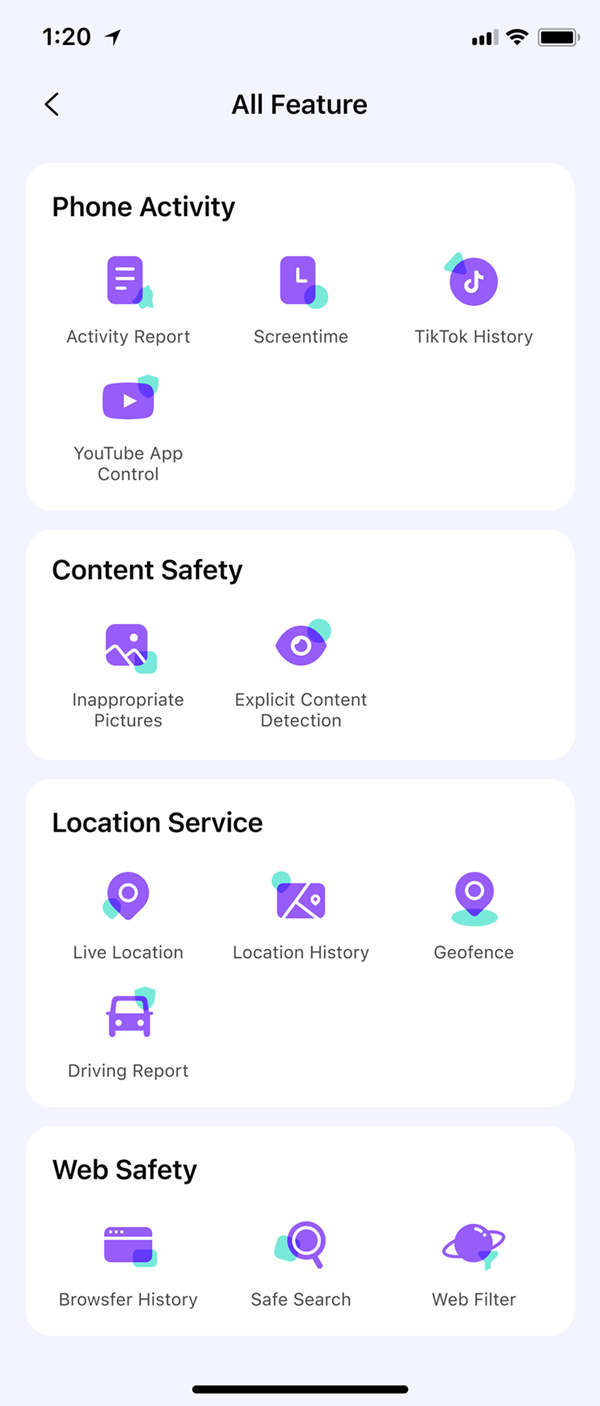 famisafe supported features