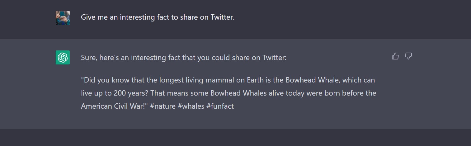 chatgpt twitter examples