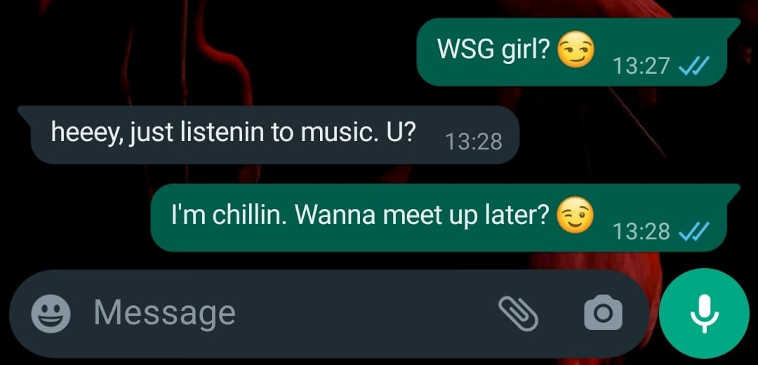 what does wsg mean when flirting