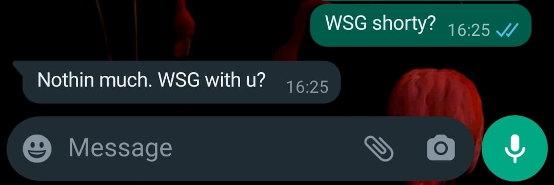 What does wsg mean in deals texting