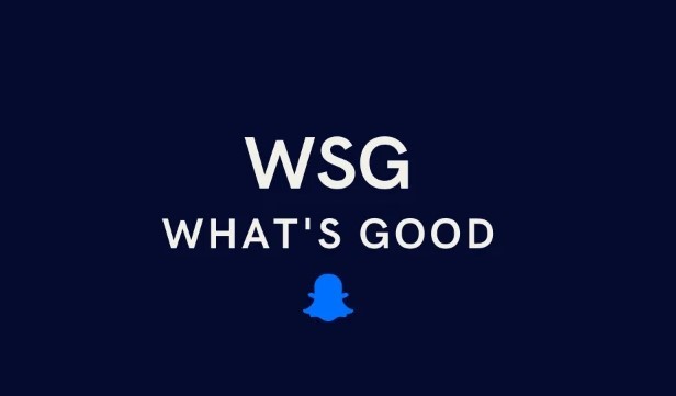 what does wsg mean on snapchat