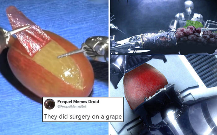the grape surgery meme 1