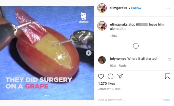 the grape surgery meme 2