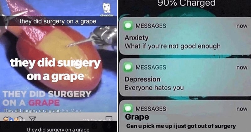 the grape surgery meme 4