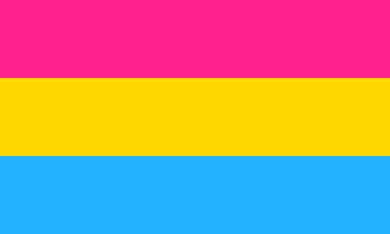 pansexual flag pansexual definition and identity