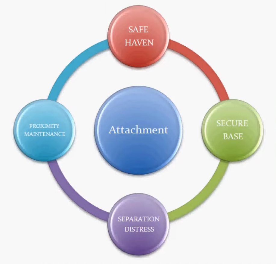 the importance of attachment