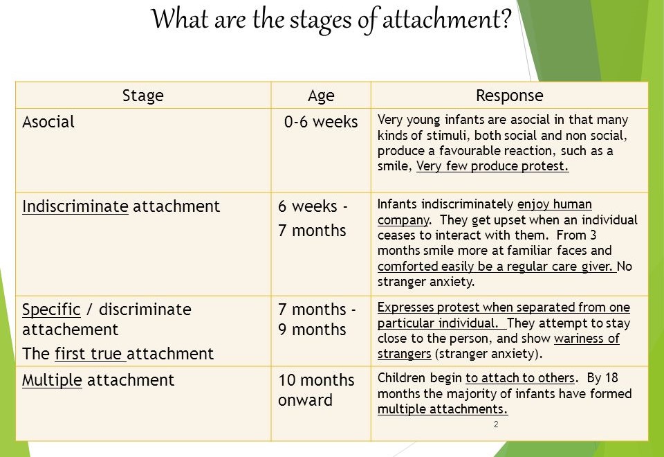 four attachment stages