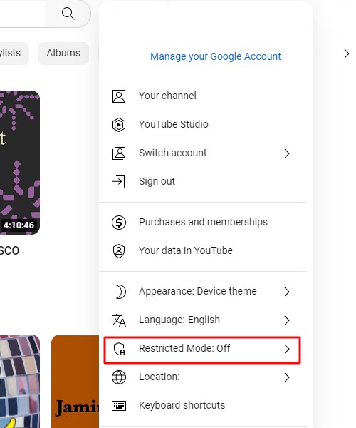 turning on restricted mode on youtube 