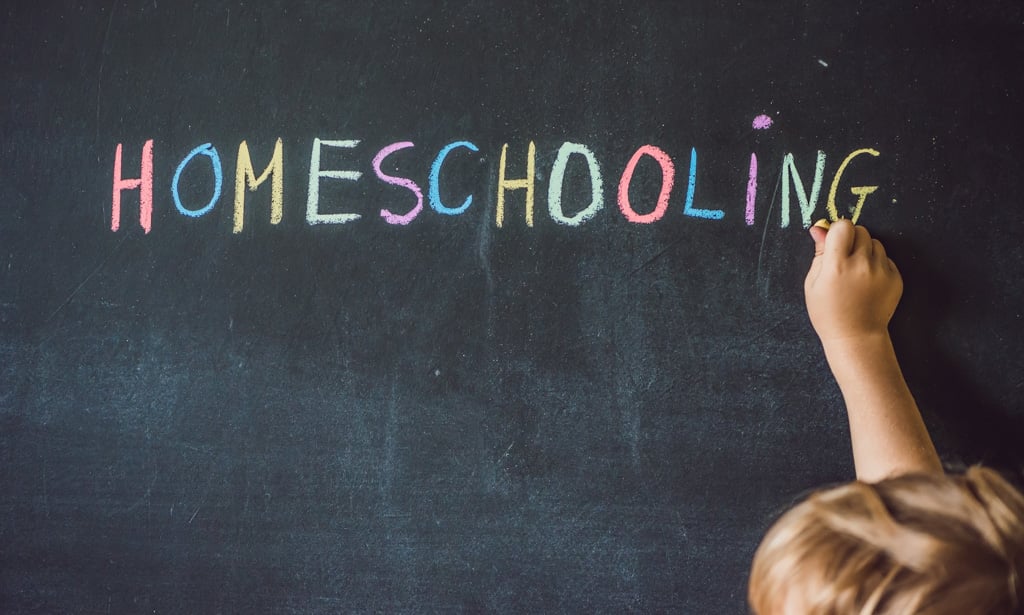 the meaning of homeschooling