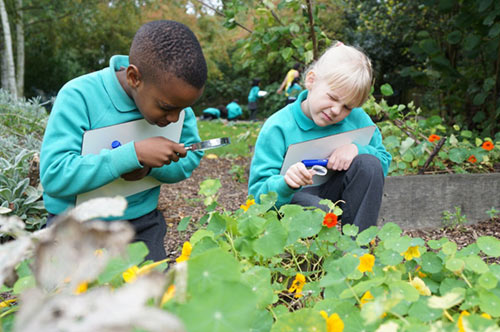 avantages de l'apprentissage en plein air pour les enfants 