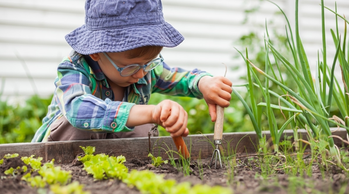 un jeune enfant qui jardine 