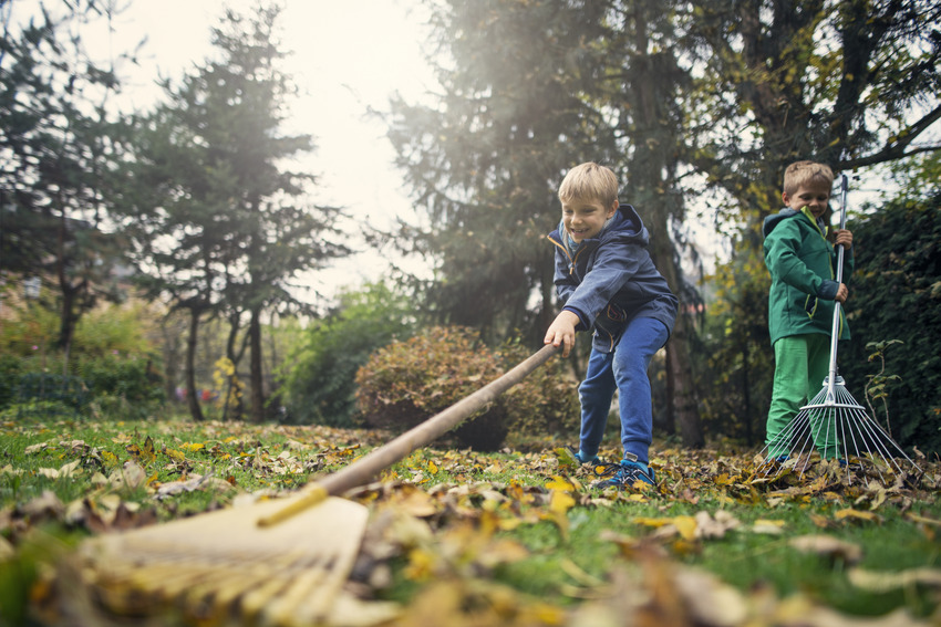 Les enfants ratissent les feuilles dans le cadre de leurs corvées 