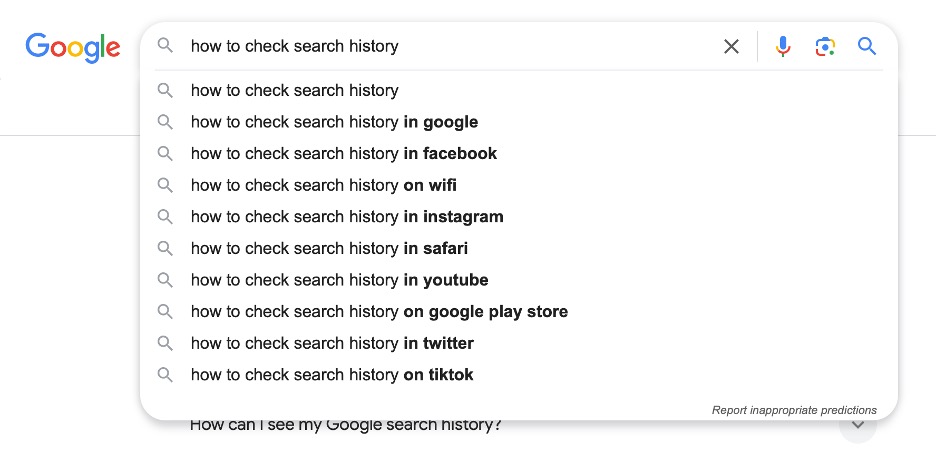 google search bar