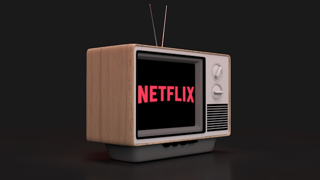 How to troubleshoot Netflix's common issues.