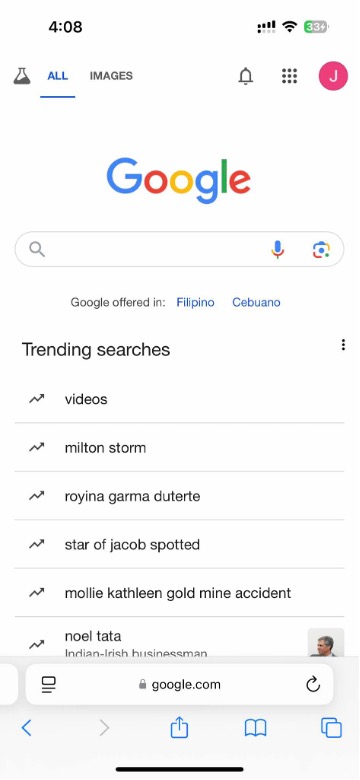 mobile search page