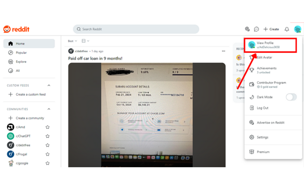 View Profile Option On Reddit