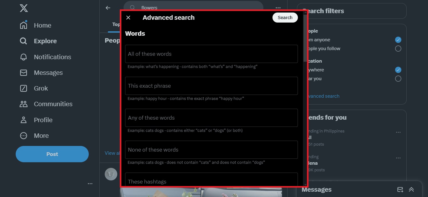 advanced search to see twitter history