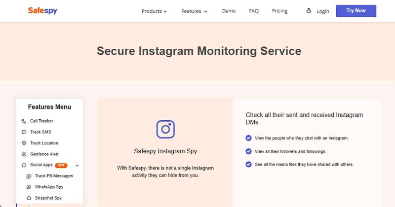 safespy ig account viewer 