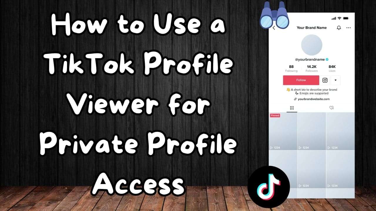 tiktok profile viewer