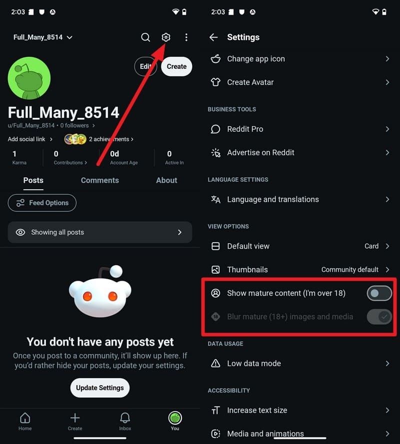 Show Mature Content setting in Reddit